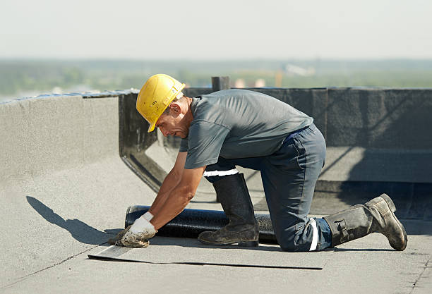 Best DIY Insulation Kits and Guidance in Shokan, NY